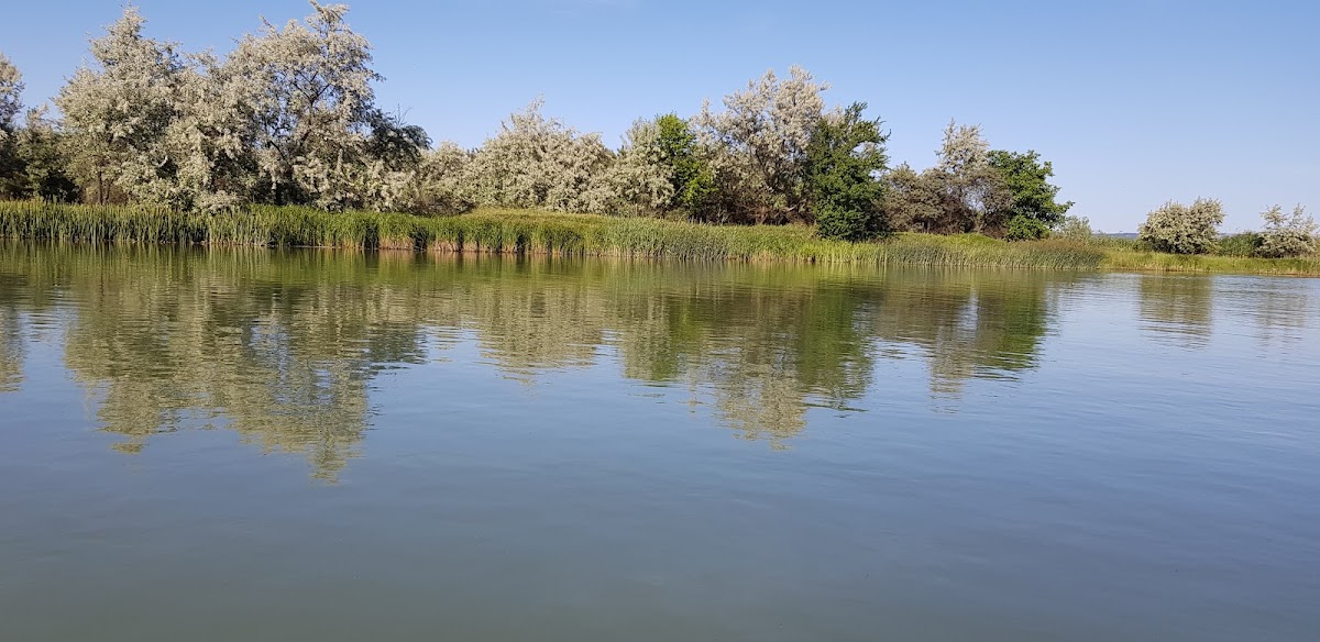 Lacul Bacau II