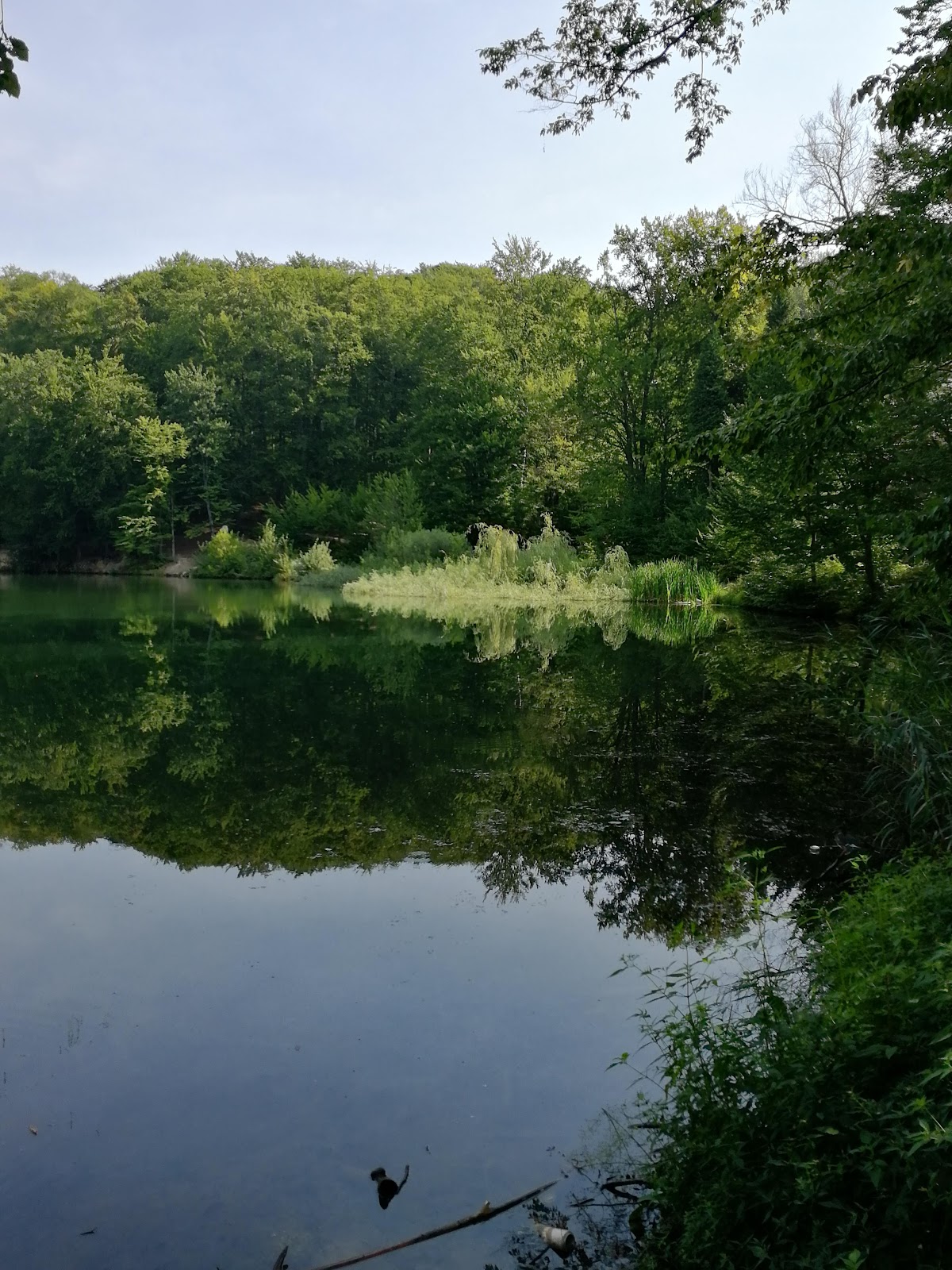 Lacul Bodi Ferneziu - foto 2