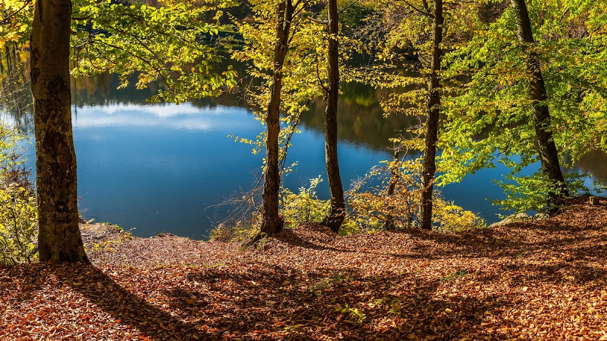 Lacul Bodi Ferneziu - foto 3