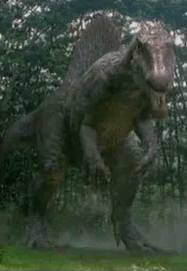 Lacul Cicoş - foto 4