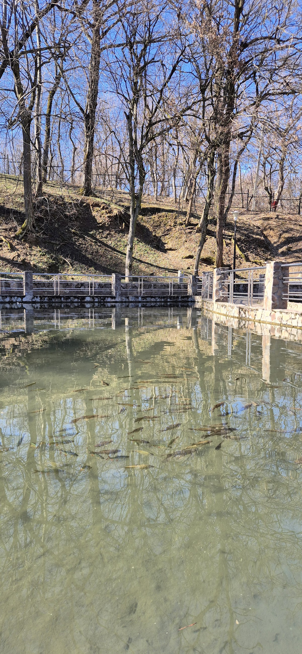 Lacul cu Nuferi