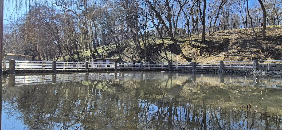 Lacul cu Nuferi - foto 3