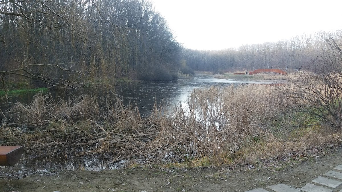 Mihai Eminescu Lily Lake Ipotești, Botoșani - foto 2