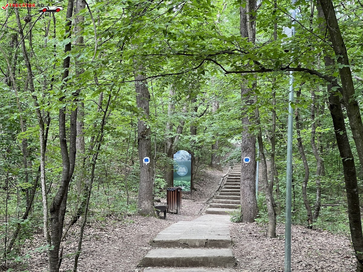 Mihai Eminescu Lily Lake Ipotești, Botoșani - foto 4