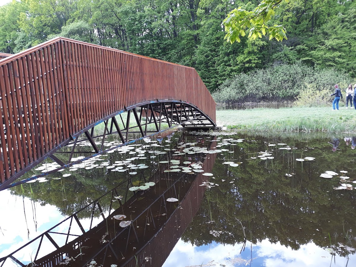 Mihai Eminescu Lily Lake Ipotești, Botoșani - foto 5