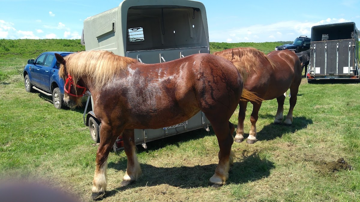 Lacul Curcani - foto 2