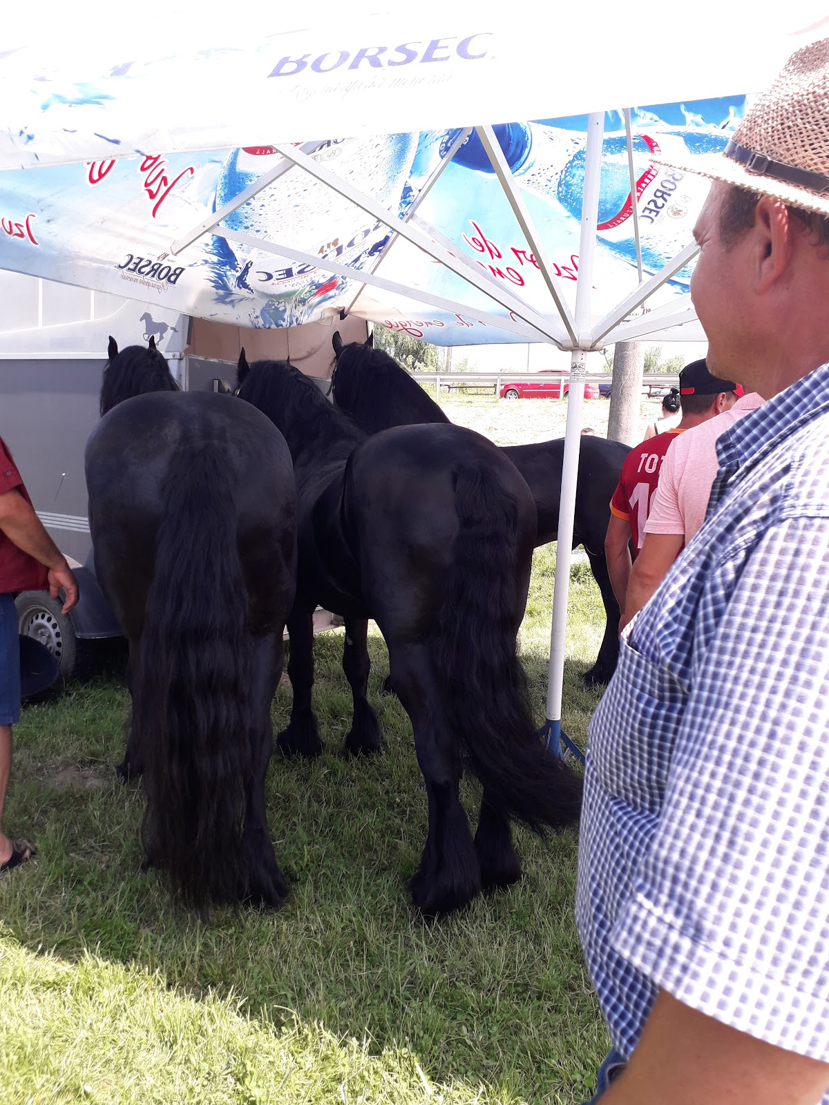 Lacul Curcani - foto 3