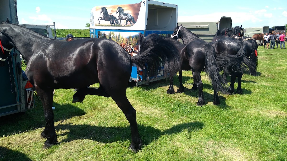 Lacul Curcani - foto 5