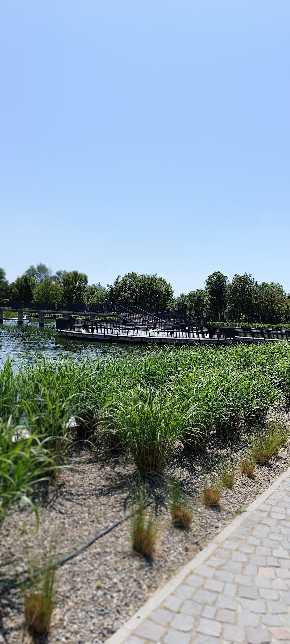 Lacul din cartierul Gării - foto 5