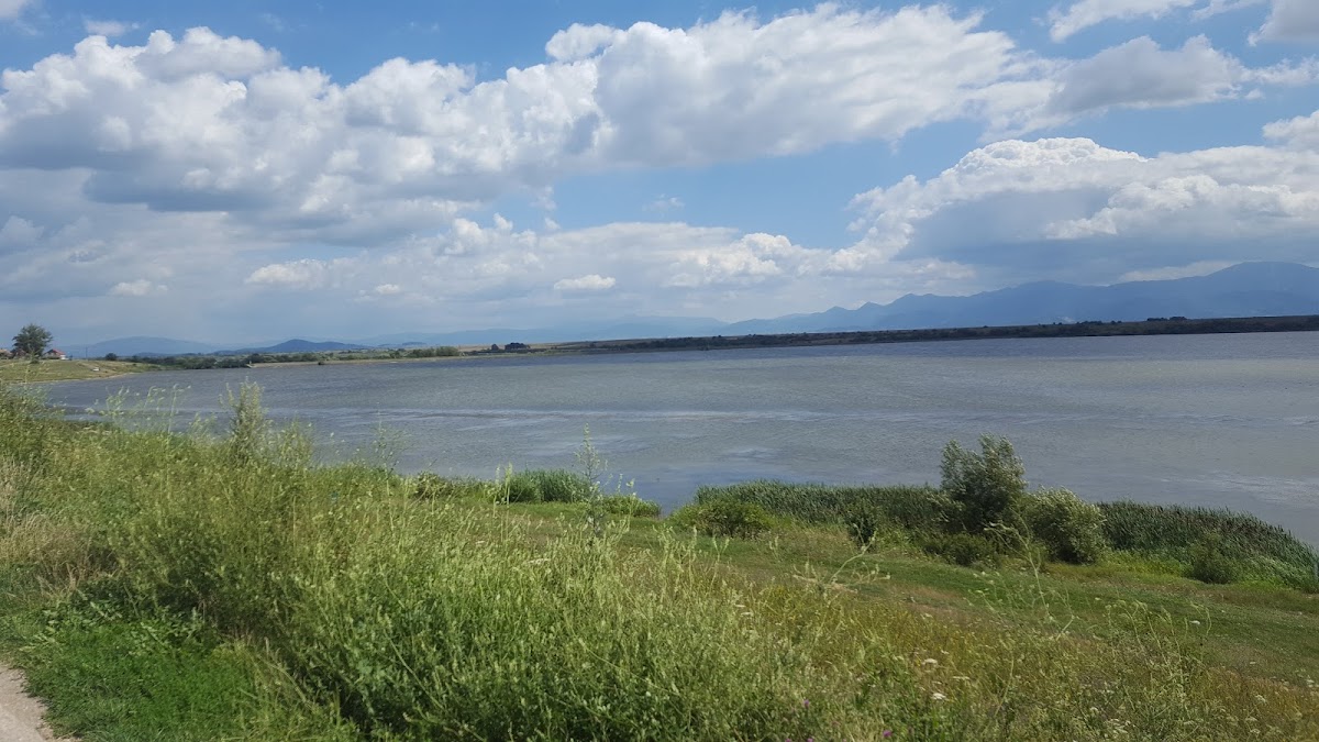 Lacul Dumbrăvița - foto 2