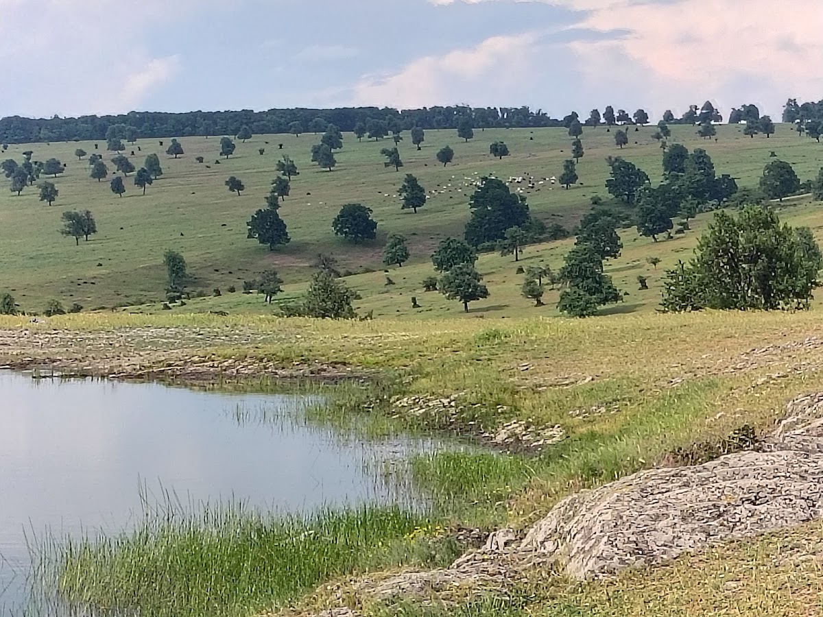 Topolog Glacial Lake