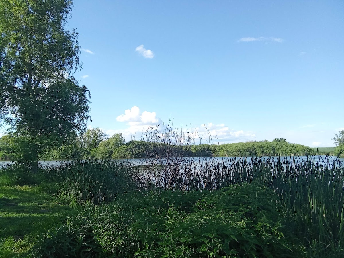 Lacul ianculesti - foto 3
