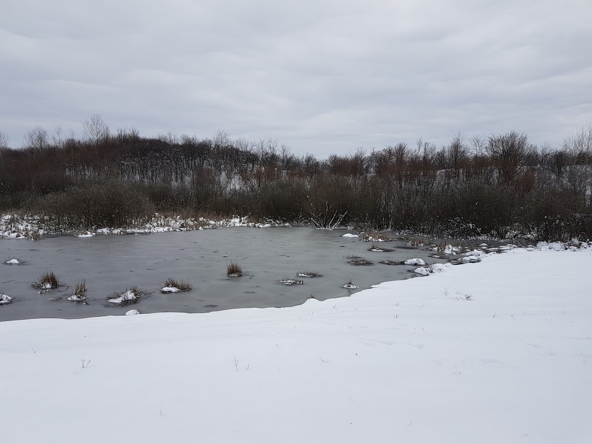 Lac Bârcă - foto 2