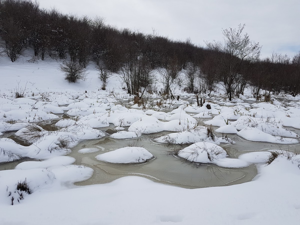 Lac Bârcă - foto 3