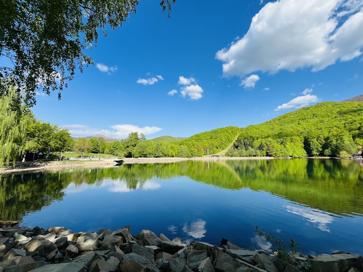 Lacul Mogoșa - foto 1