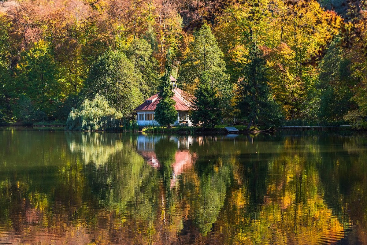 Lacul Mogoșa - foto 2