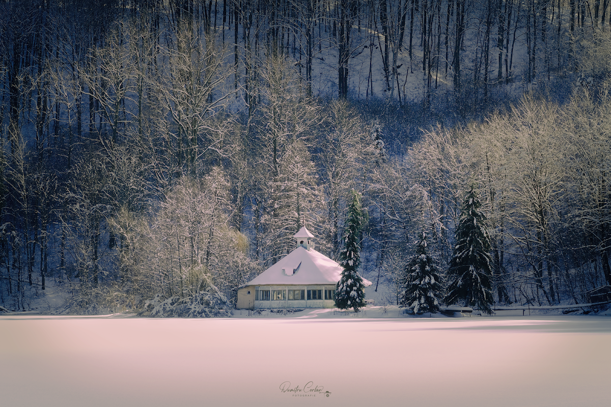 Lacul Mogoșa - foto 4