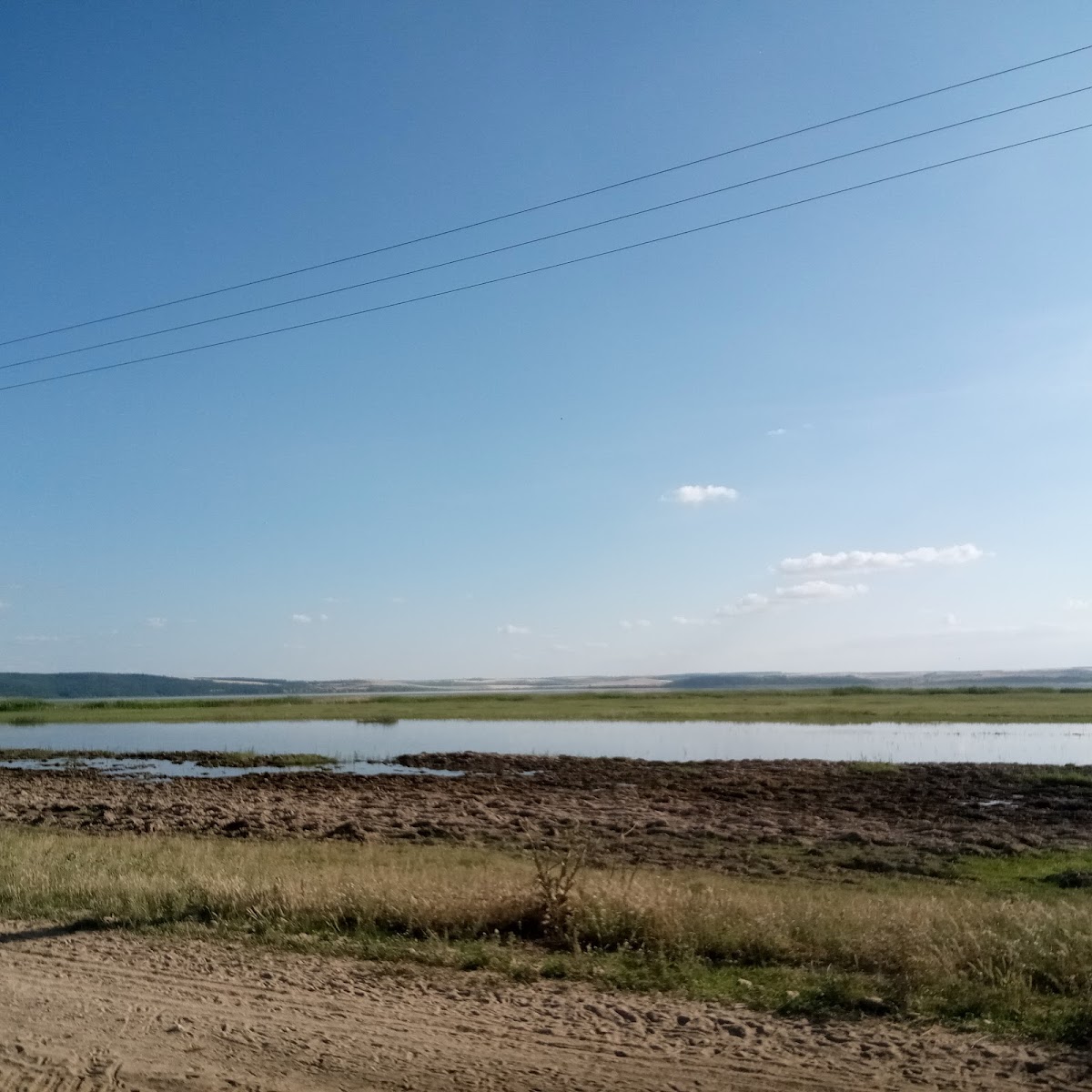 Lacul Oltina - foto 4