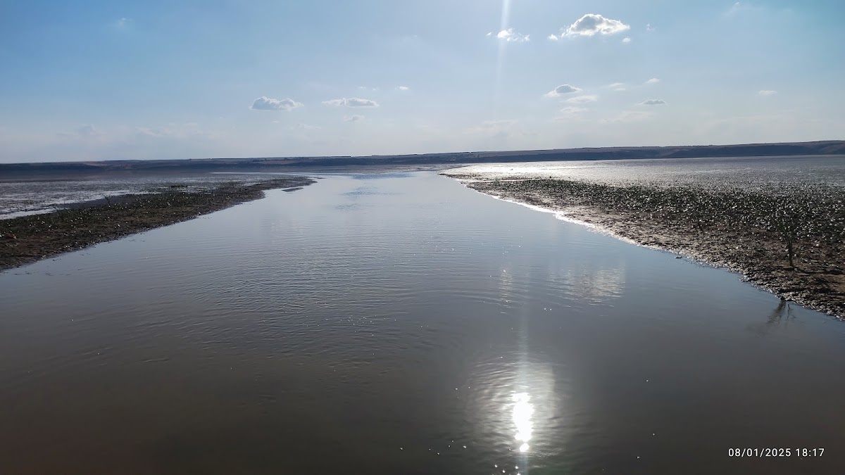 Lacul Oltina - foto 5