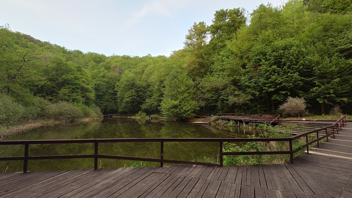 Lacul Paraschiva - foto 1