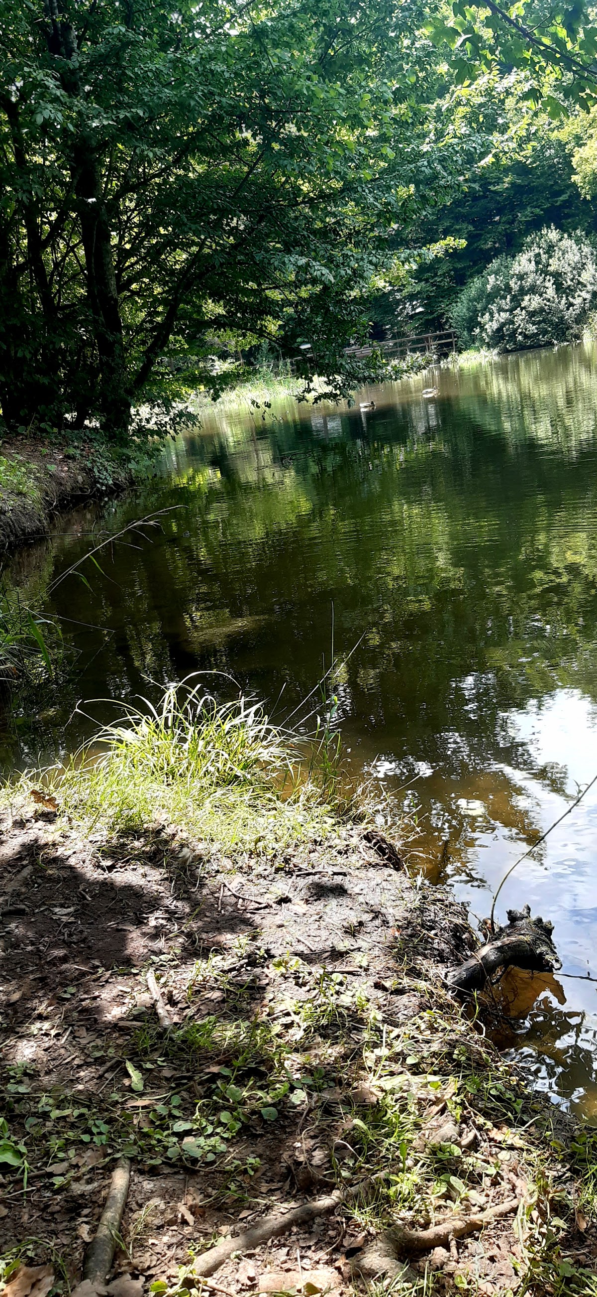 Lacul Paraschiva - foto 3