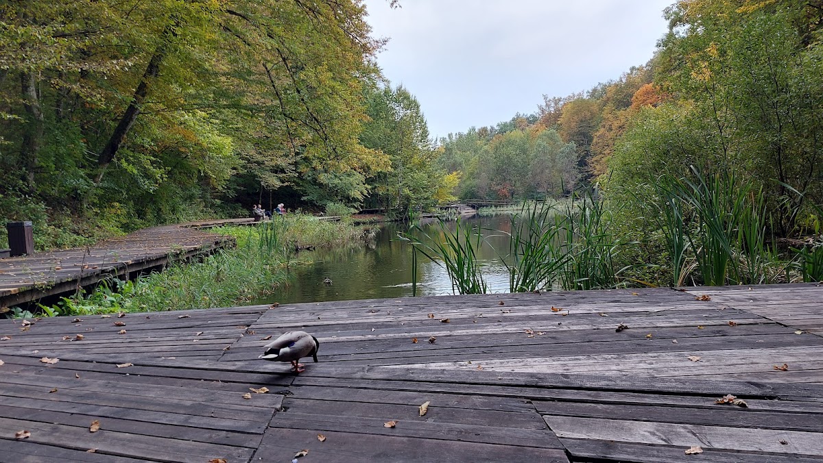 Lacul Paraschiva - foto 4