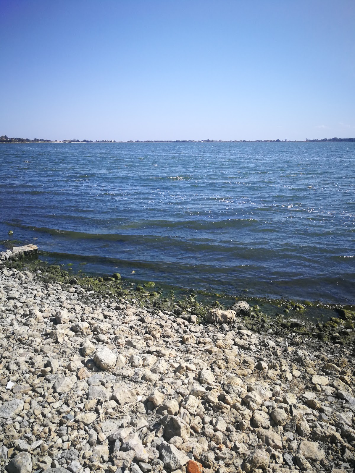 Lacul Techirghiol - foto 4