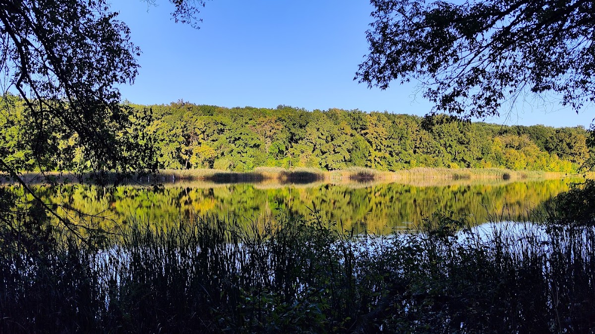 Lacul Veneția - foto 2