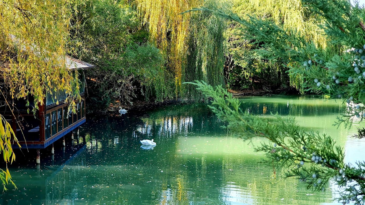 Lacul Verde Resort
