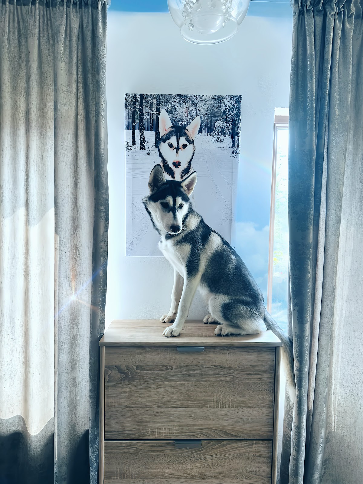 LaGalerie.ro - tablouri canvas - foto 4