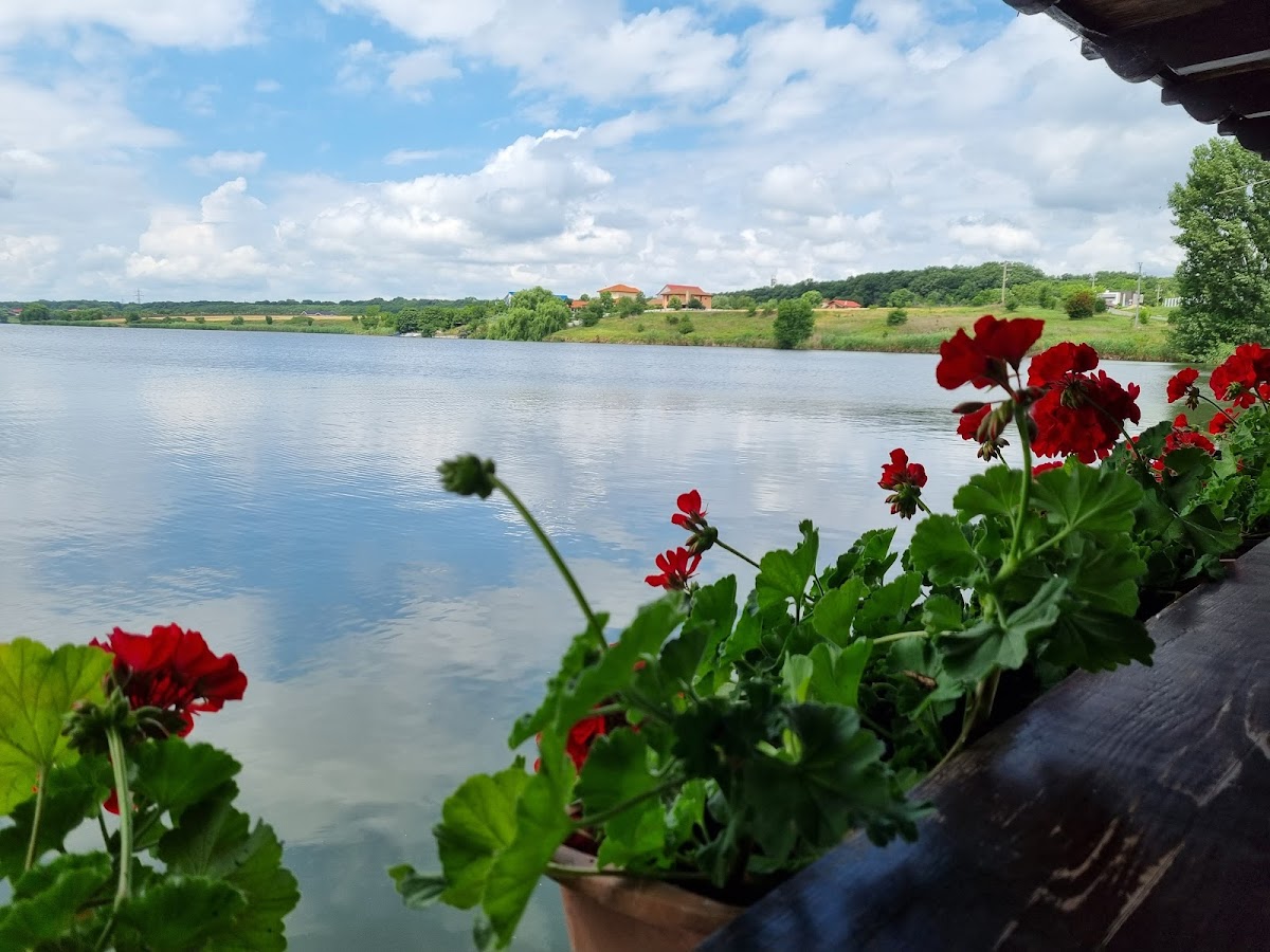 Laguna Verde - foto 5