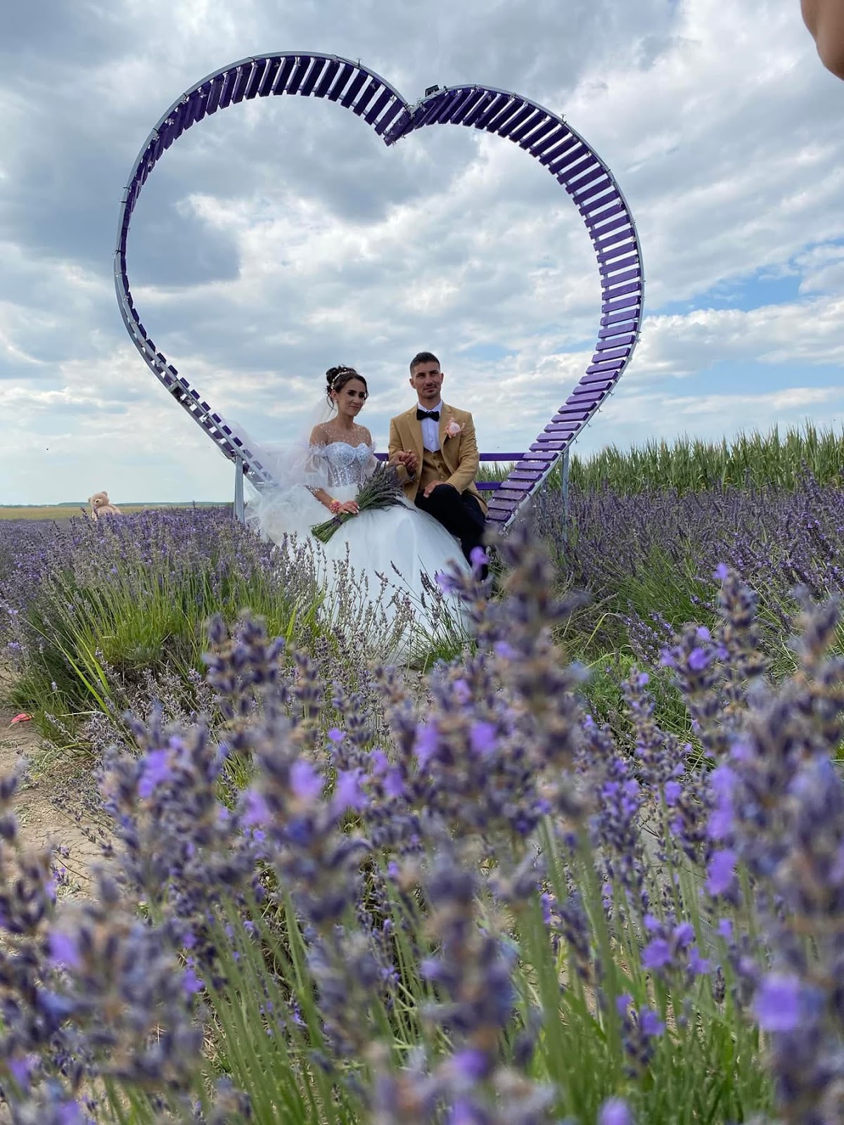 Lavanda Dragoesti Ialomița - foto 4