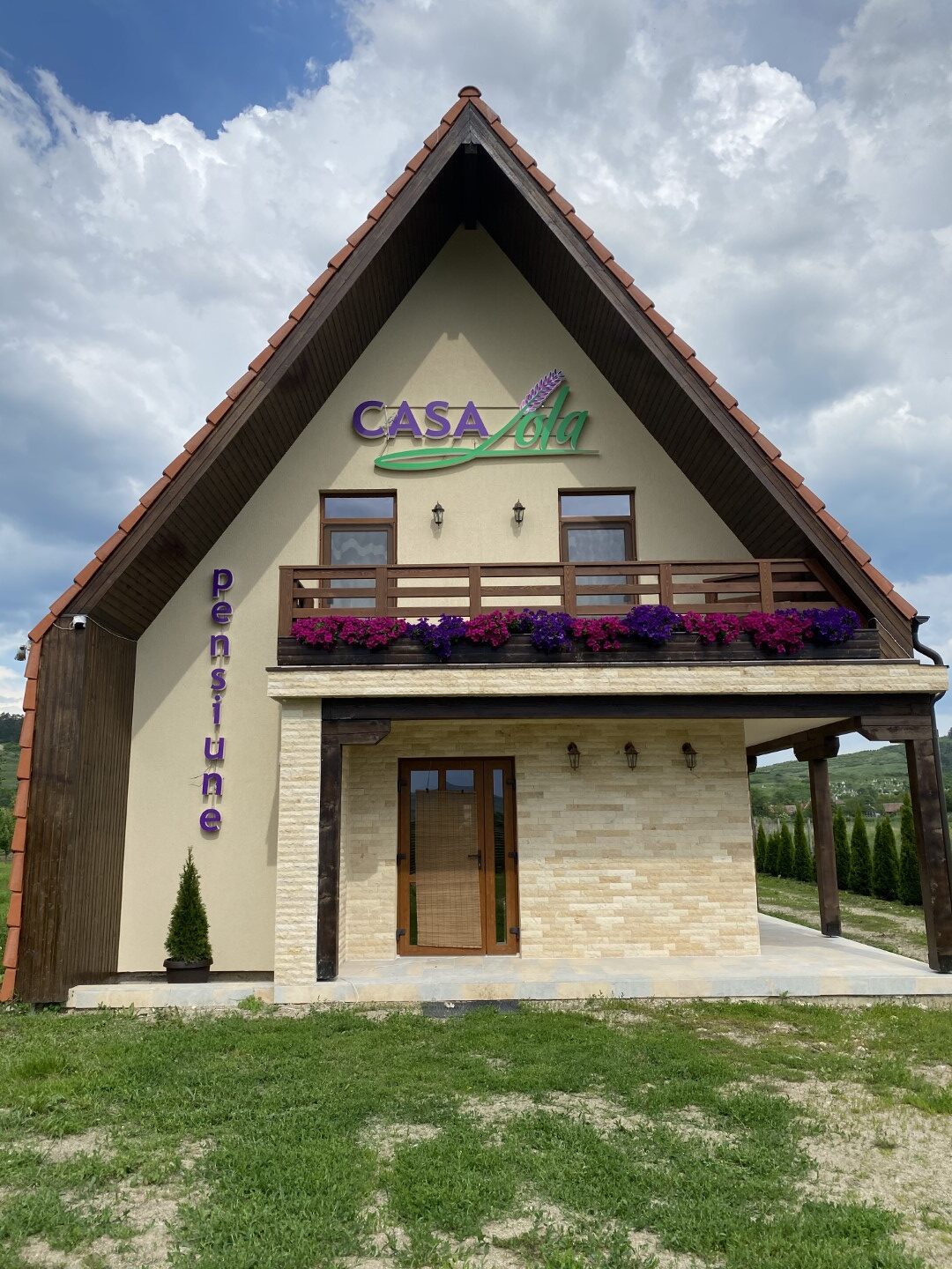 Lavanda Lola