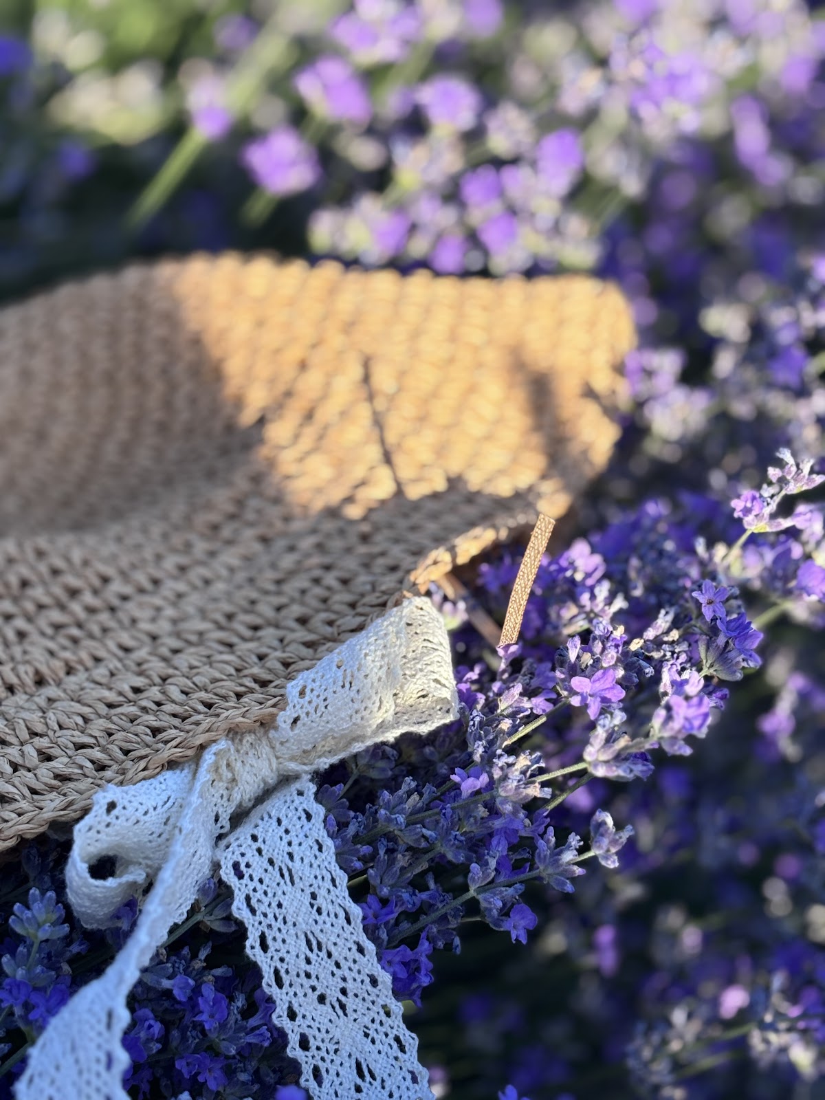 Lavender Farm - foto 5