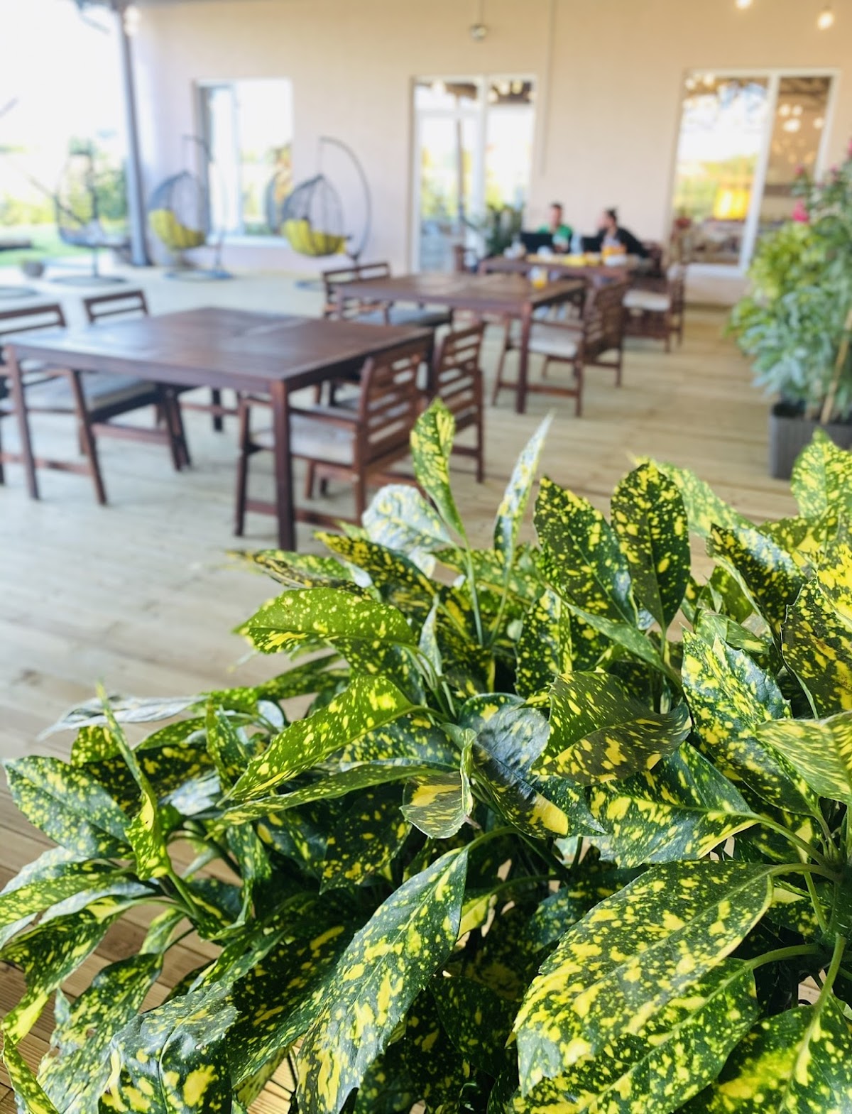 Leisure Garden - foto 4