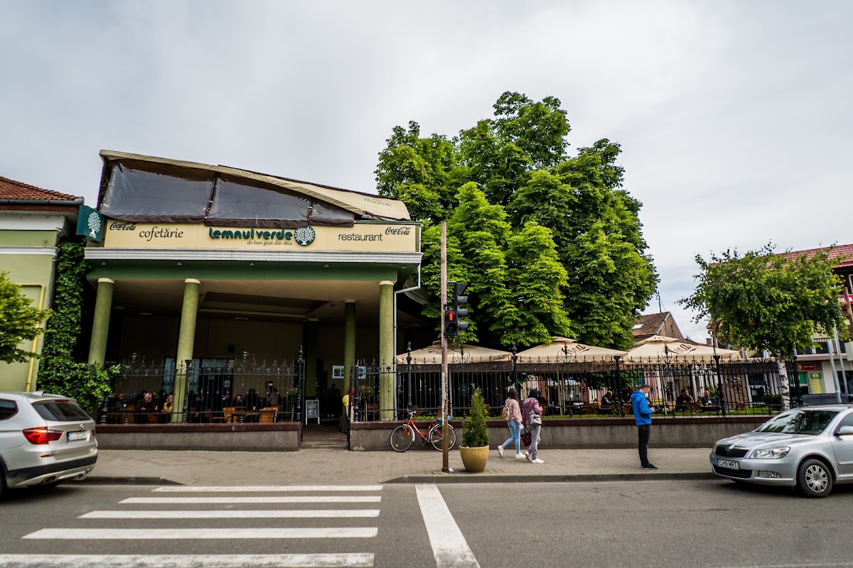 Lemnul Verde - foto 1