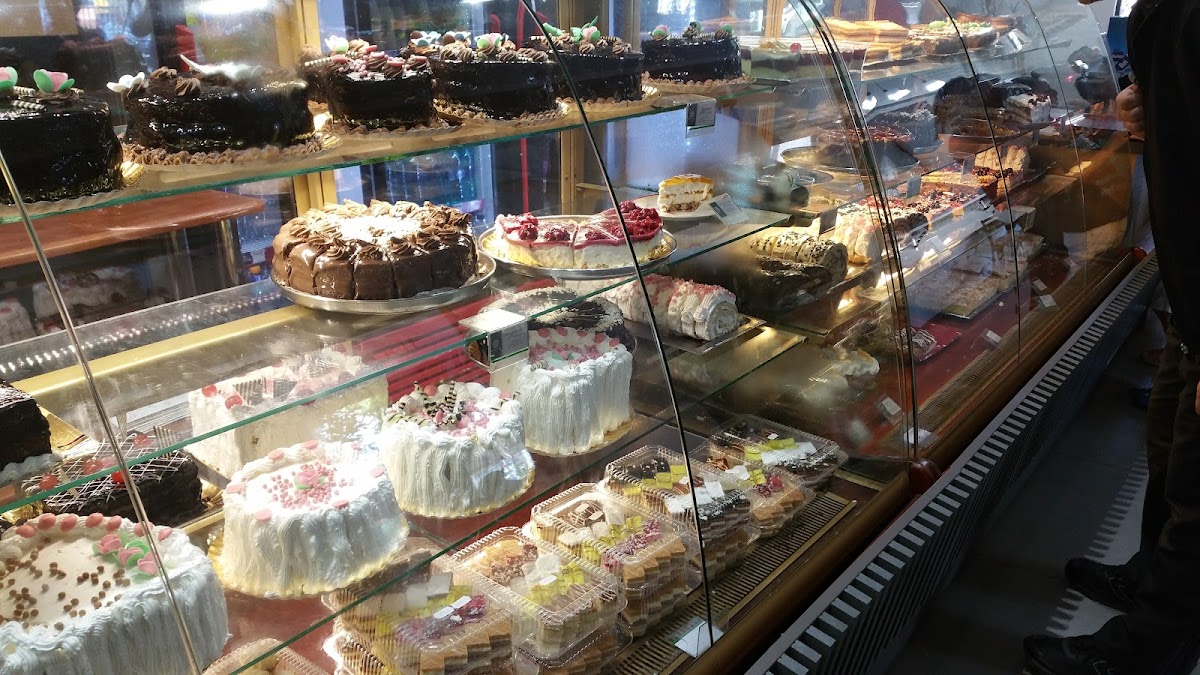 Lemnul Verde - foto 3