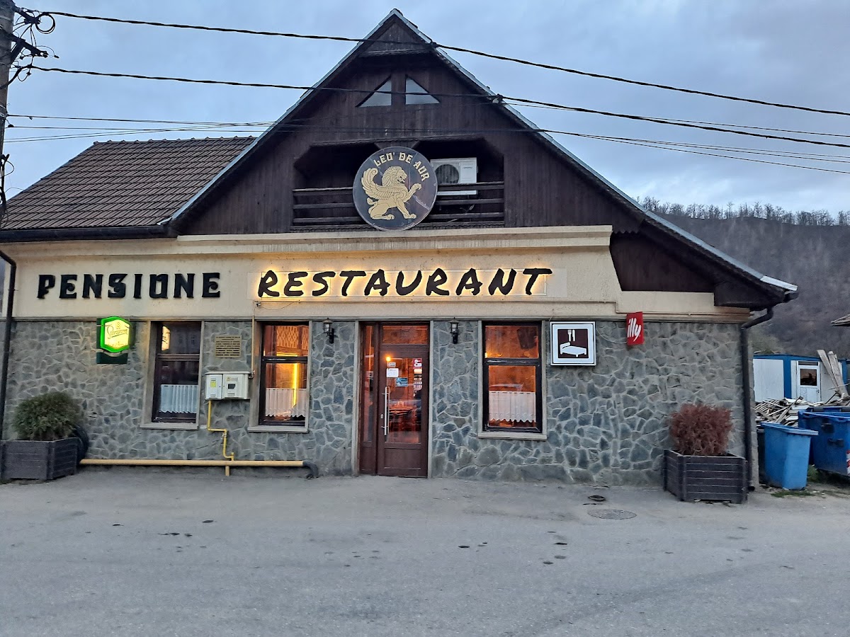 Leu' de Aur - foto 3
