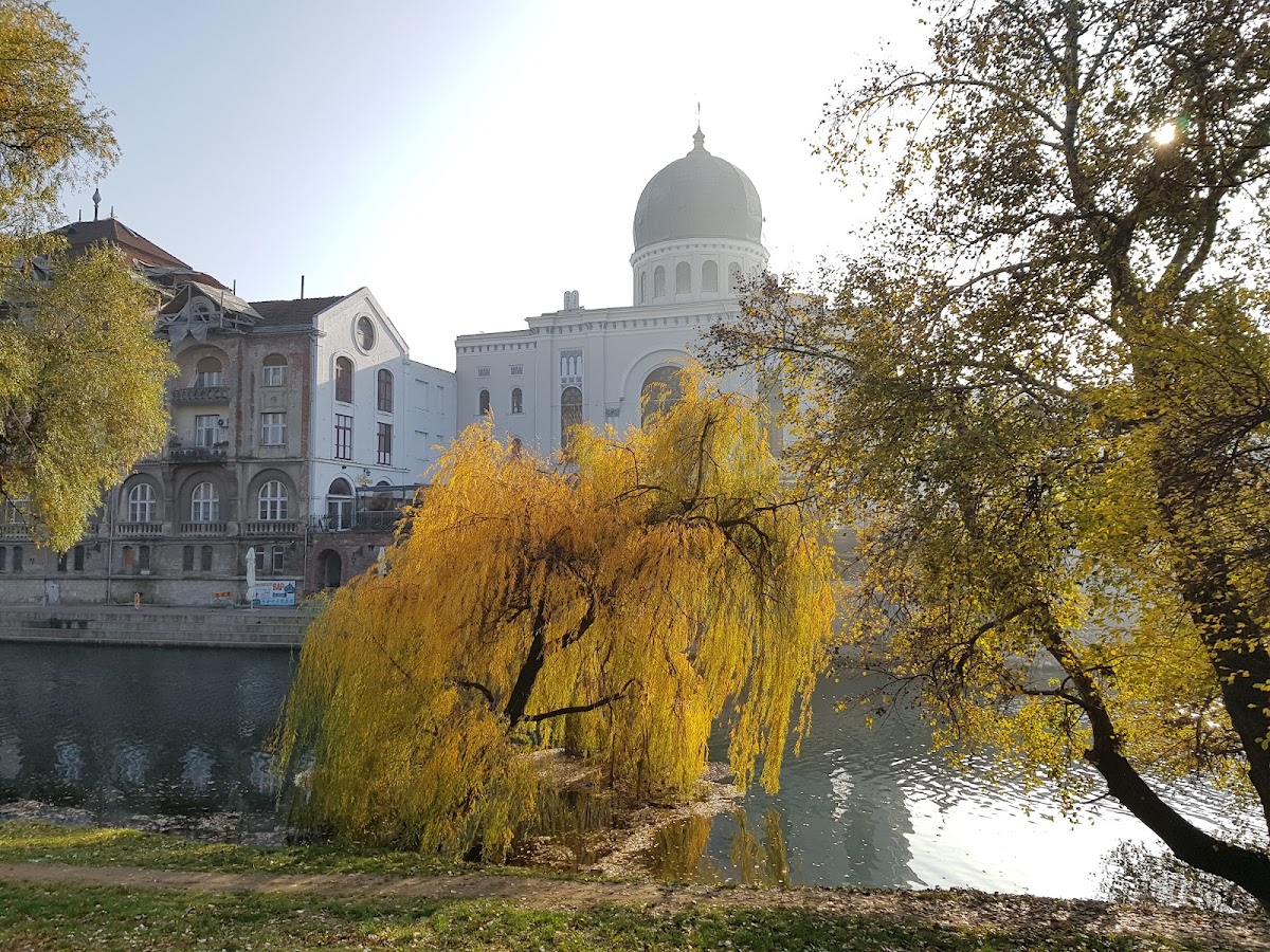 Liberté Apartments, Oradea