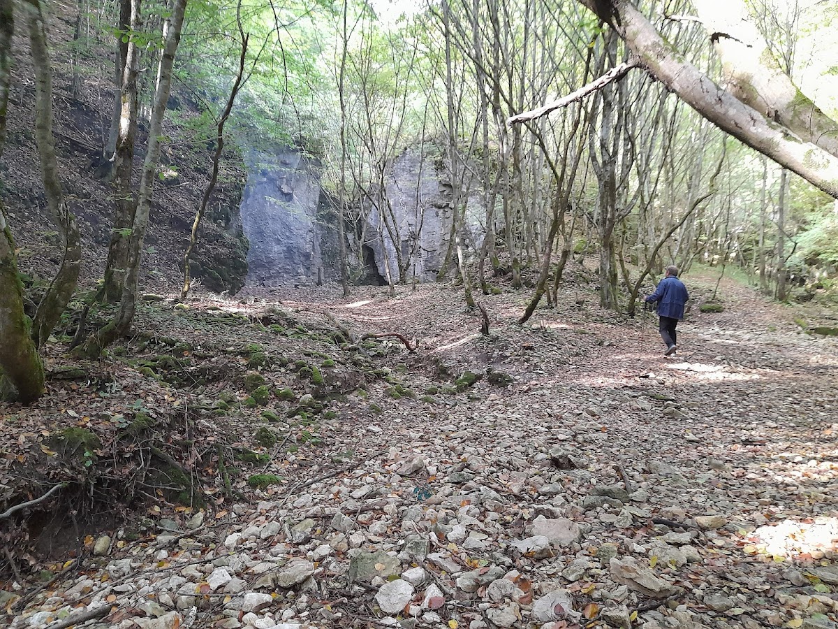 Lii cave - foto 3