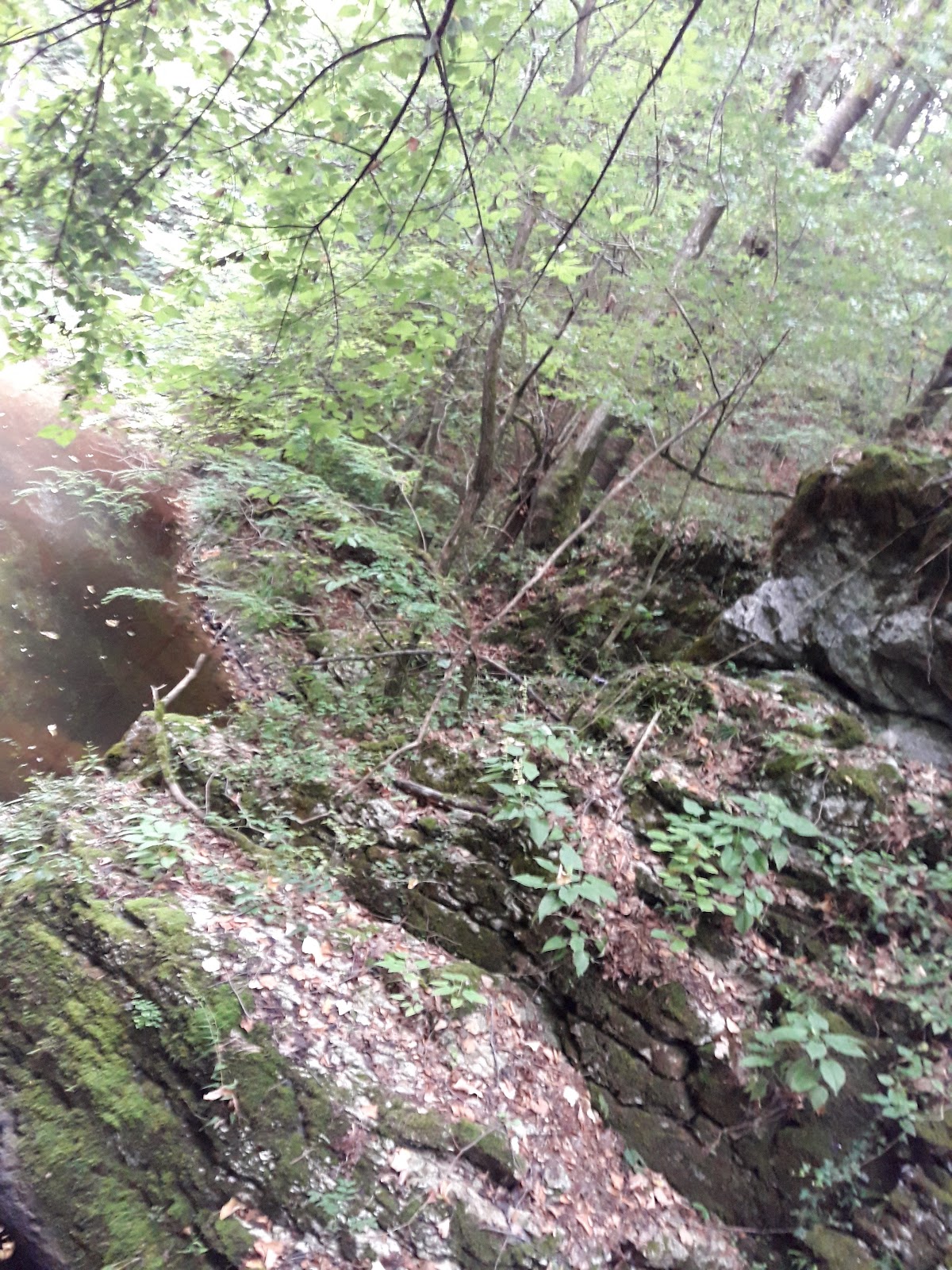 Lii cave - foto 4