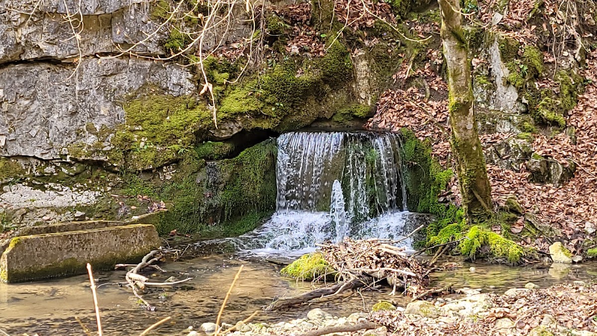 Lii cave - foto 5