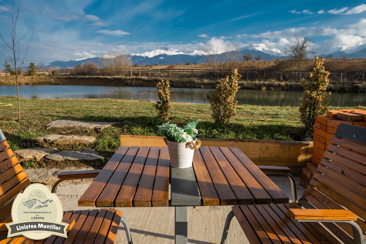 Liniștea Munților - Cabană Porumbacu de Sus - foto 1