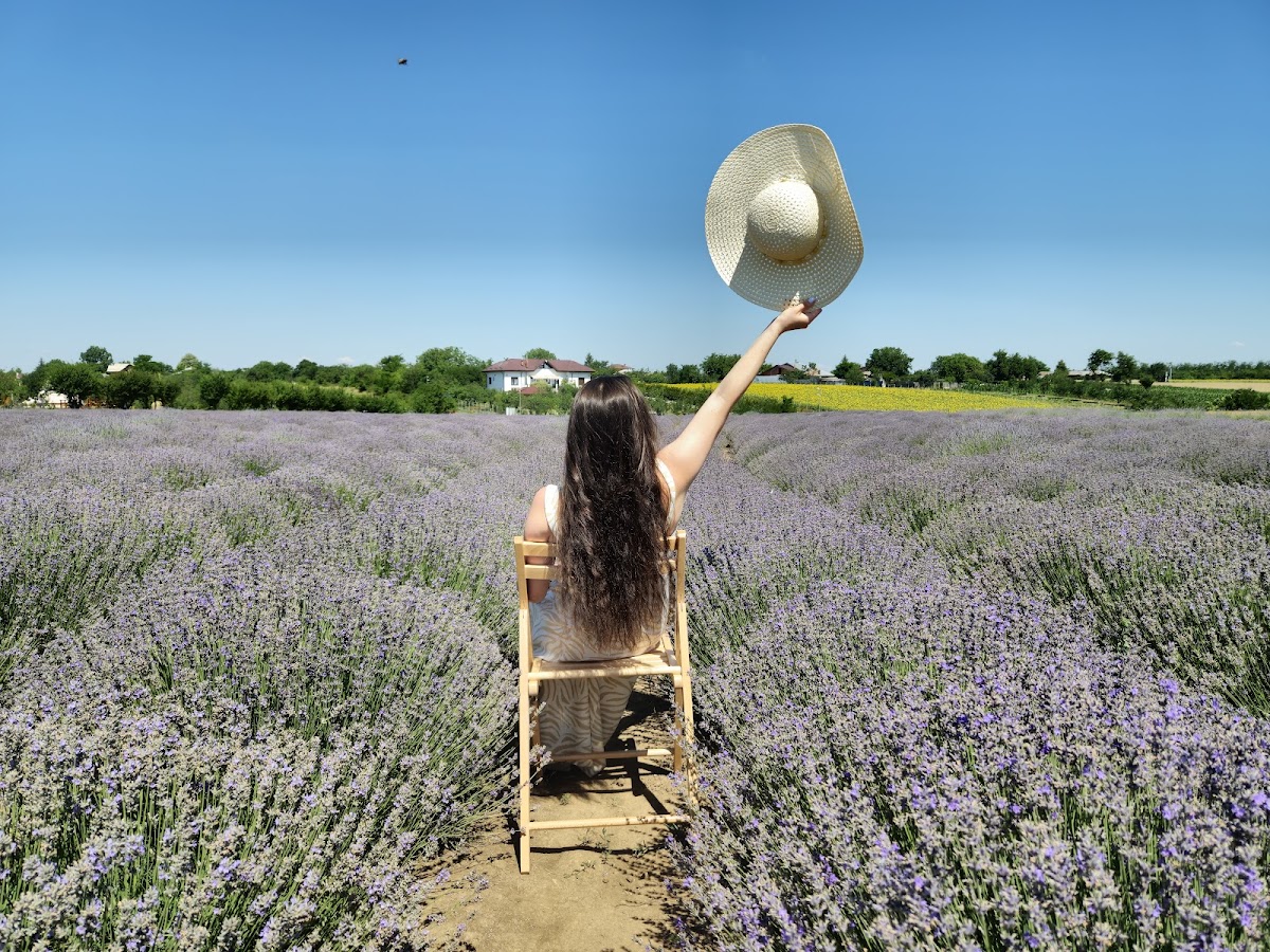 Livada cu lavanda
