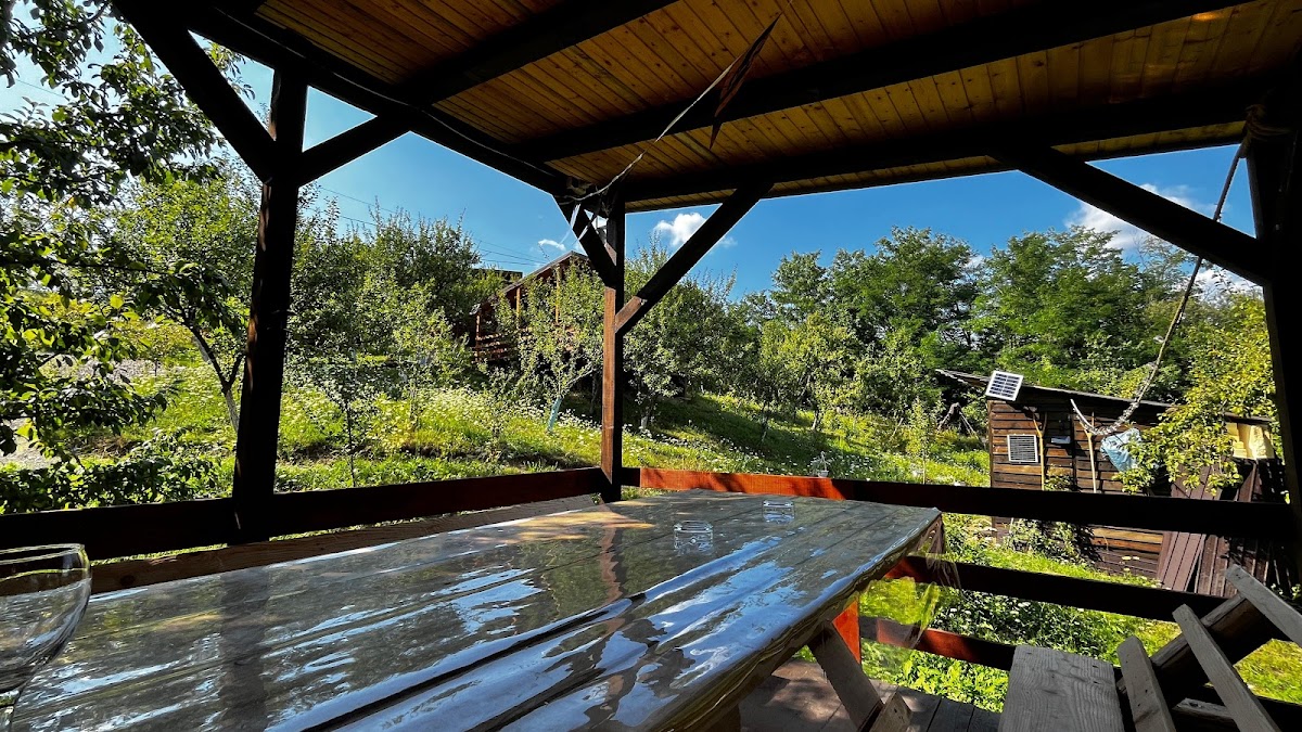Plum Orchard