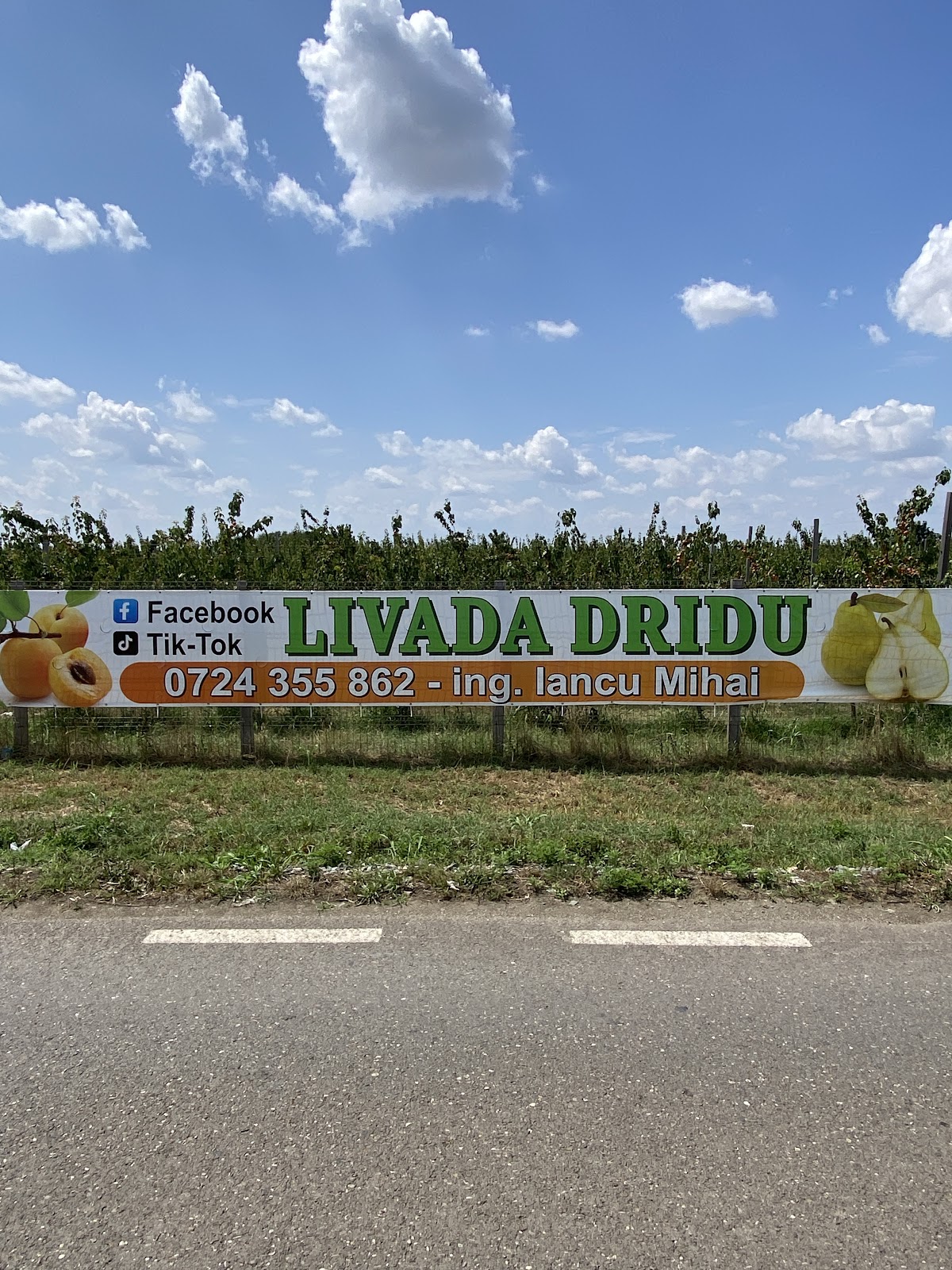 Livada Dridu
