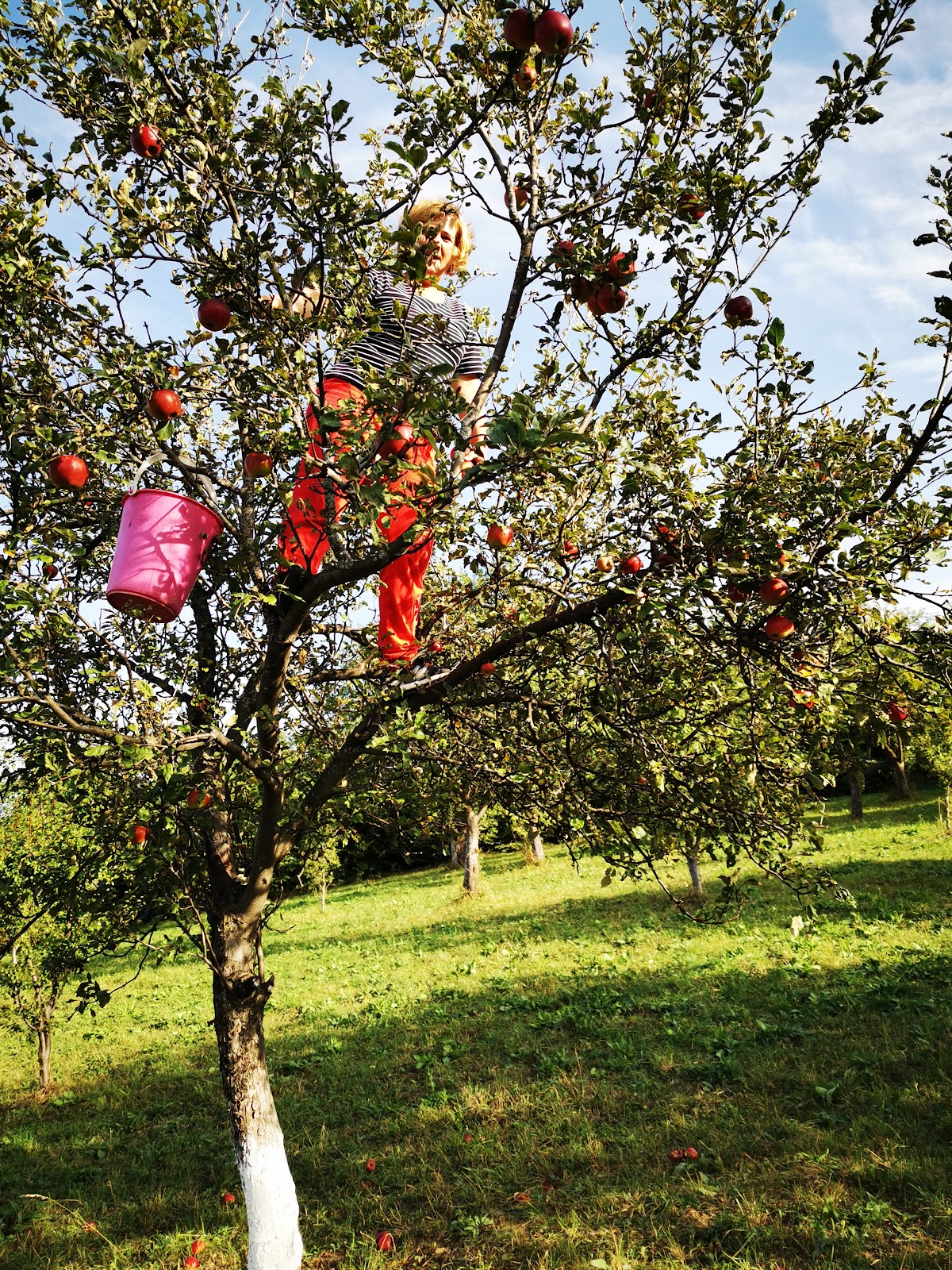LiVLADa delle Fiabe - foto 4