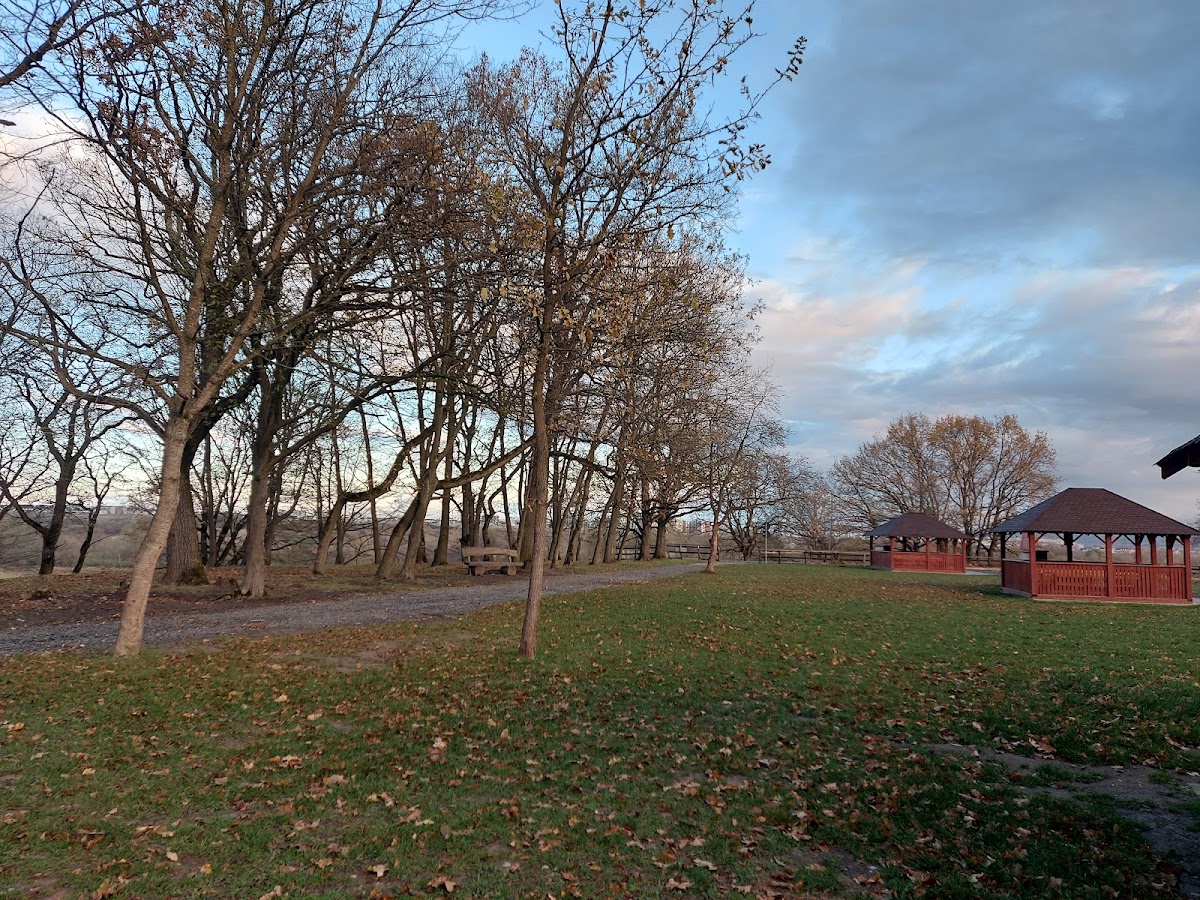 Loc de grătar - Șelimbăr - foto 2