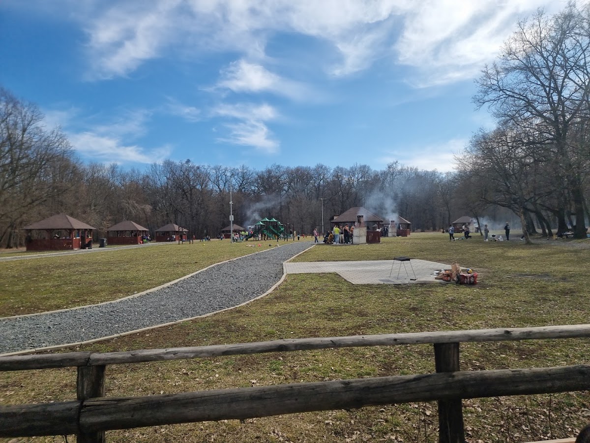 Loc de grătar - Șelimbăr - foto 3