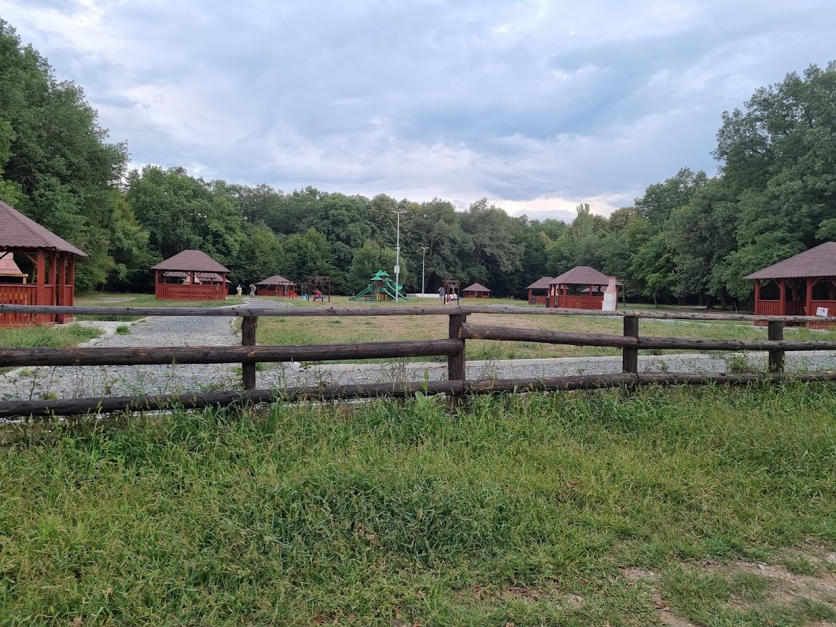 Loc de grătar - Șelimbăr - foto 4